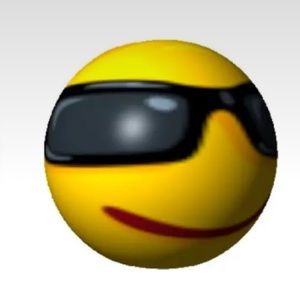 Meet your Posher, Belle